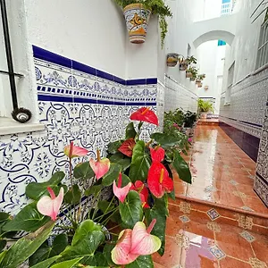 https://pacoplaza.es-andalucia.com